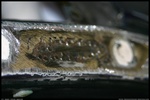 20050223 230803 TMR Finer Touch Auto Body DWC768