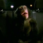 Trunk Monkey #6 – Chaperone Director’s Cut – Suburban Auto Group